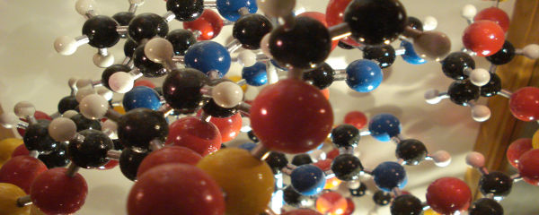 Nude Mouse Secondhand Science